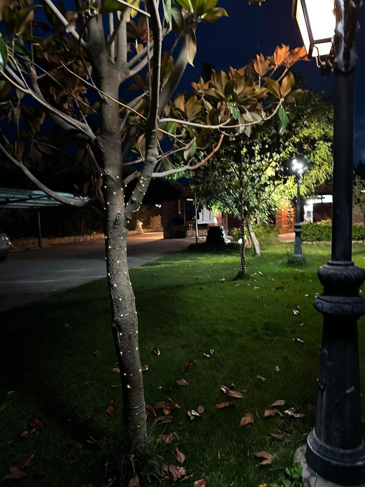 Rincon Del Cierzo Guest House Lécera Екстериор снимка