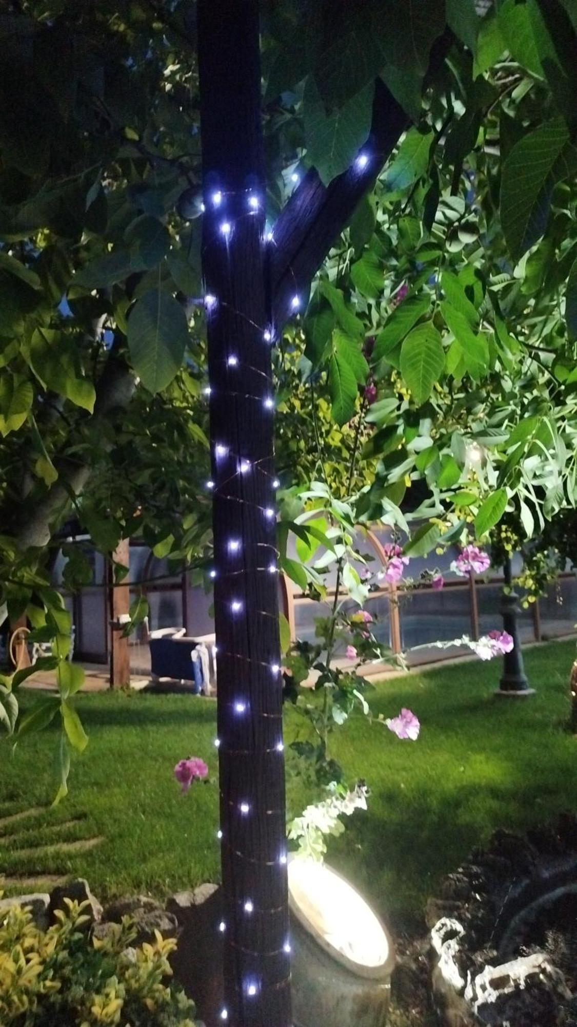 Rincon Del Cierzo Guest House Lécera Екстериор снимка